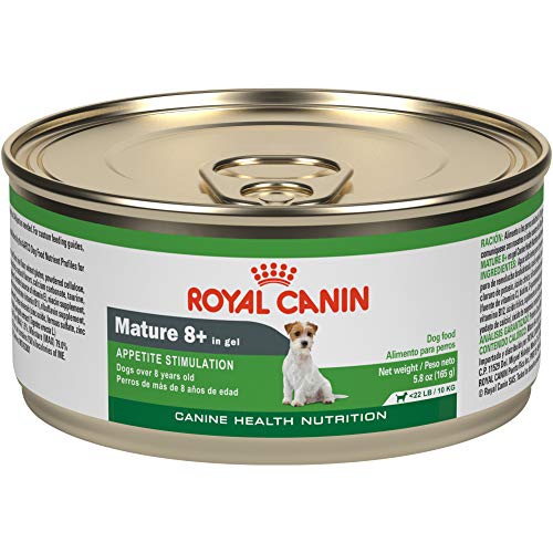 best affordable canned dog food