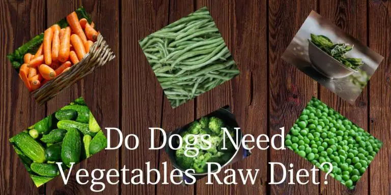 Do dogs Need Vegetables raw diet?