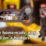 healthy homemade dog food on a budget