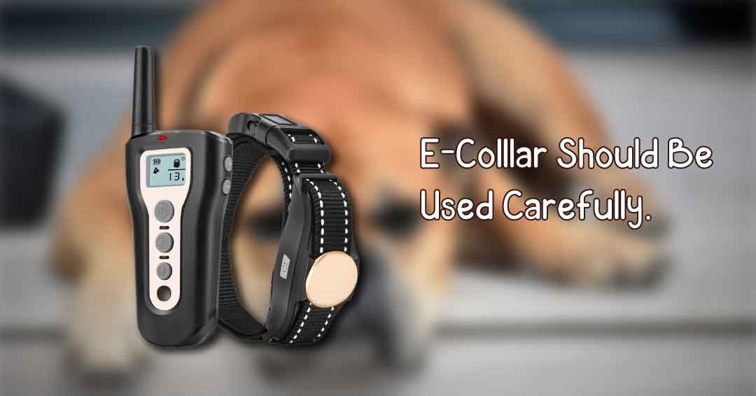 E Collar should be used carefully