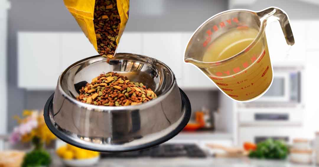 What To Mix With Dry Dog Food?