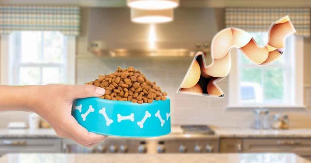 adding eggs into kibble