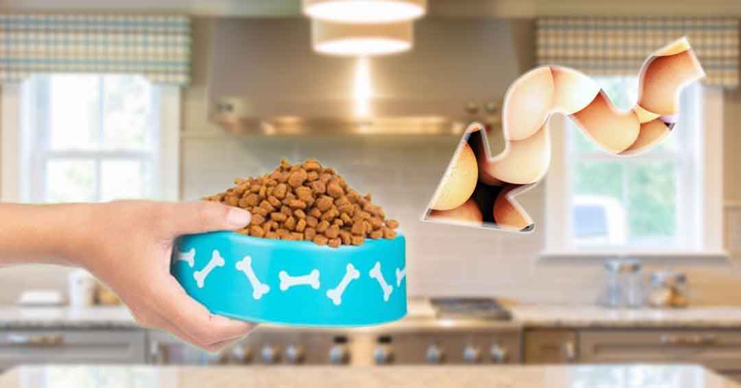What To Mix With Dry Dog Food?