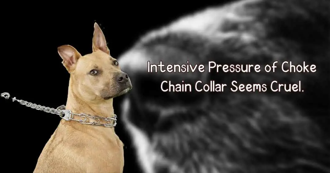 intensive pressure of choke chain collar seems cruel