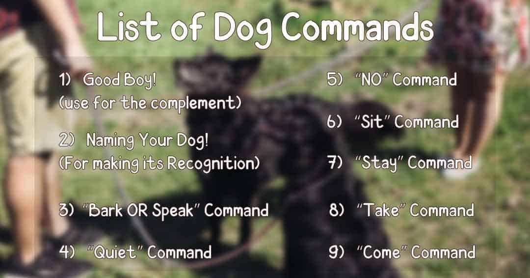 german dog commands hand signals