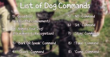 dog obedience hand signals chart