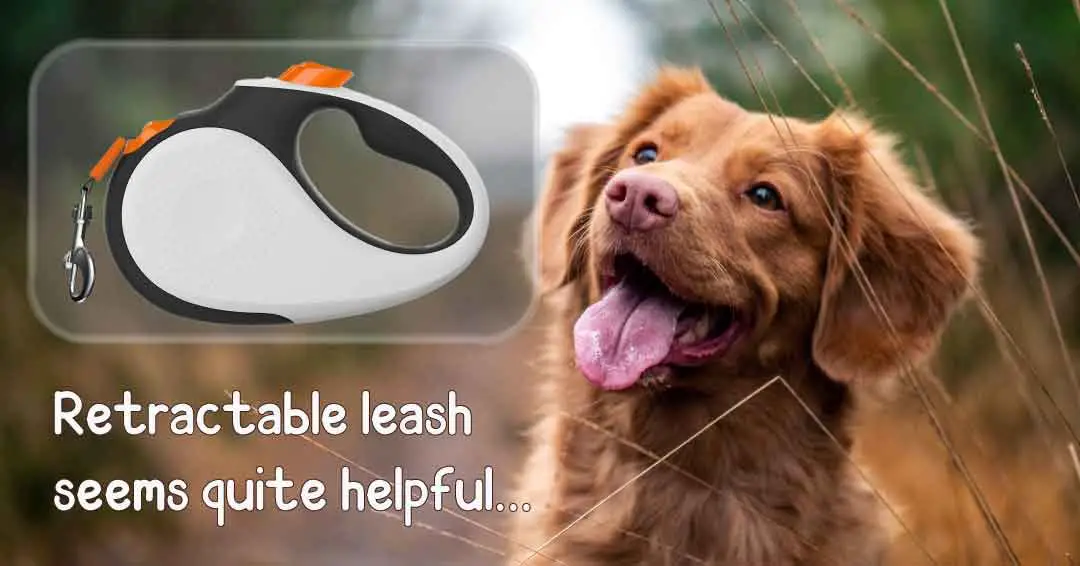 retractable leash seems quite helpful