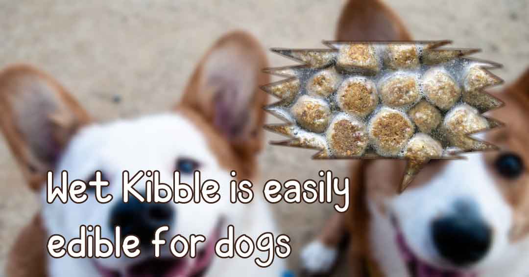 What To Mix With Dry Dog Food?