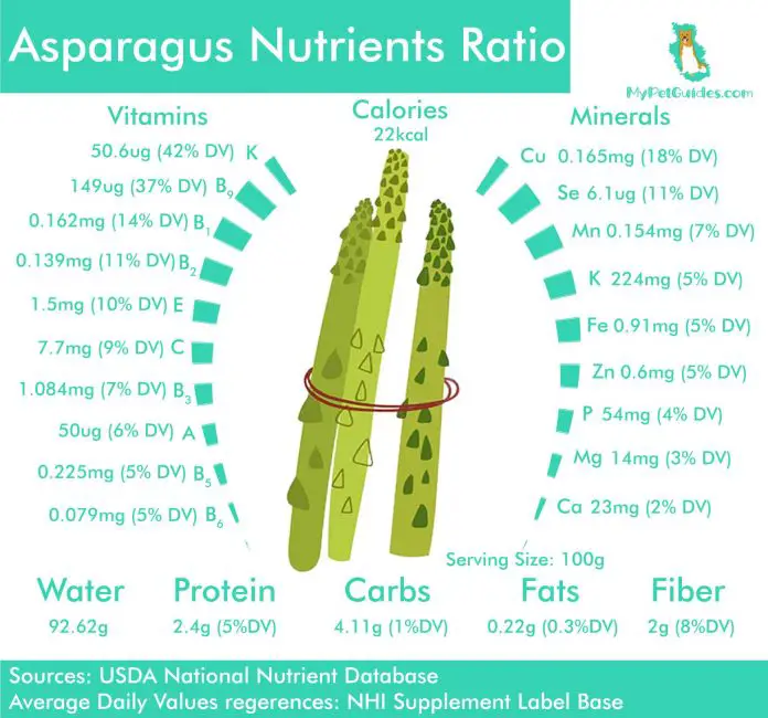 Asparagus For Dogs 101 Can Dogs Eat Asparagus?