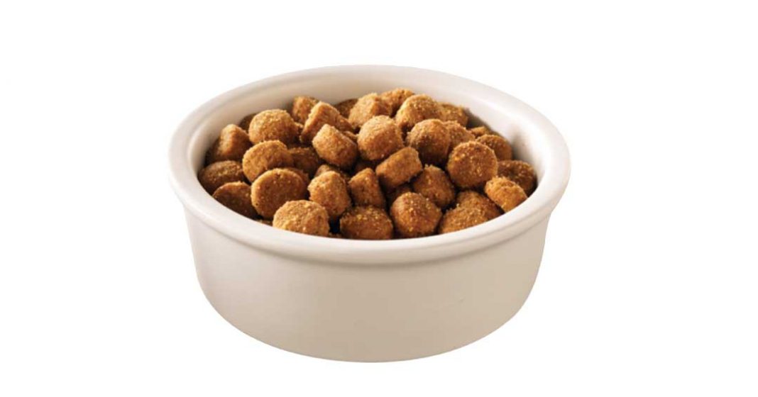 8 Best Dog Food For Mastiffs Expert Reviews