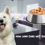 How long does wet dog food last