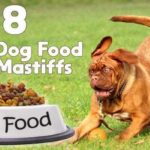 8 Best Dog Food For Mastiffs - Expert Reviews 5 Best dog food for mastiffs
