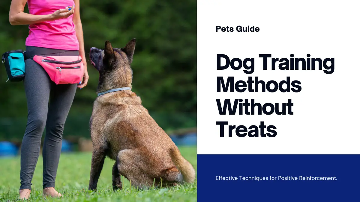 Dog Training Methods Without Treats: Effective Techniques for Positive Reinforcement