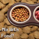 What to mix with dry dog food?