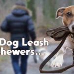 8 Best Dog Leash For Chewers - Expert Reviews 6 best dog leash for chewers