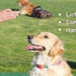 list of dog commands and hand signals