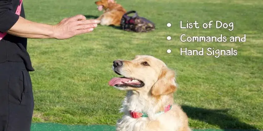 list of dog commands and hand signals