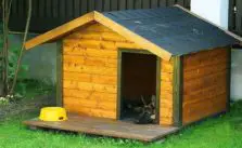 Best Dog House for German Shepherd