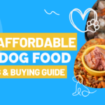 Best Affordable Wet Dog Food