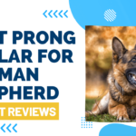 Best Prong Collar for German Shepherd