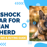 Best Shock Collar For German Shepherd