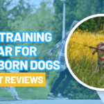 Best Training Collar for Stubborn Dogs