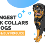 Strongest Shock Collar for Dogs