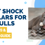 best shock collar for pitbulls