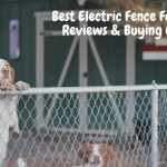 Best Electric Fence For Dogs