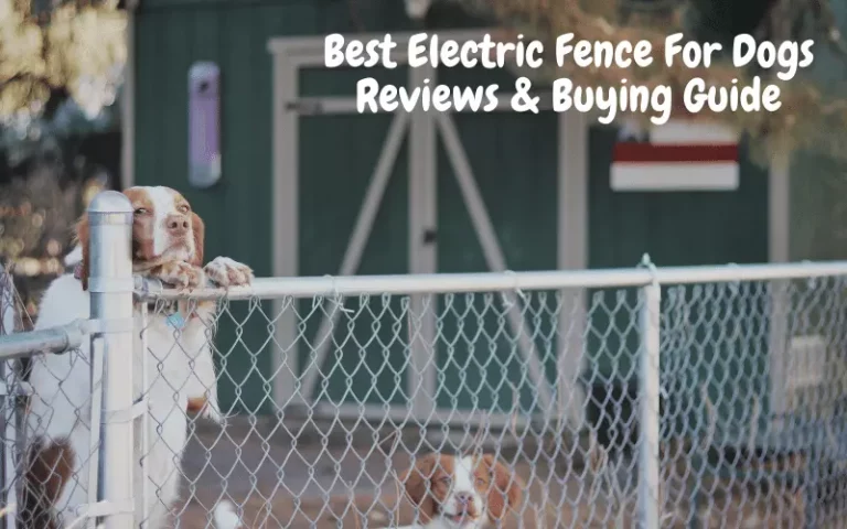 The 5 Best Electric Fence For Dogs | Reviews & Buying Guide