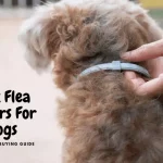 Best Flea Collar For Dogs