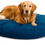 Best Calming Dog Bed
