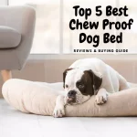 Best Chew Proof Dog Bed