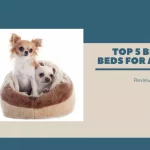 Best Dog Beds For Anxiety