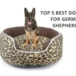 Best Dog Beds For German Shepherds