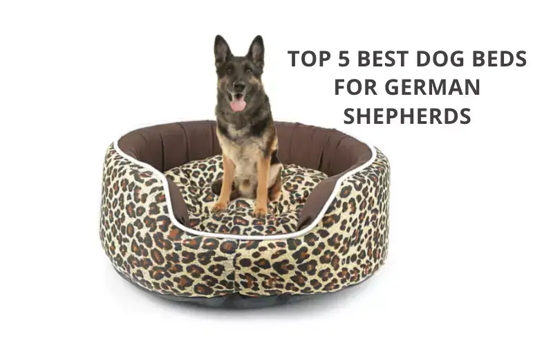 Top 5 Best Dog Beds For German Shepherds | Reviews & Buying Guide