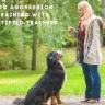 Dog Aggression Training with Certified Trainers
