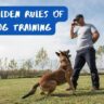 5 Golden Rules of Dog Training