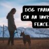 Dog Training Invisible Fence