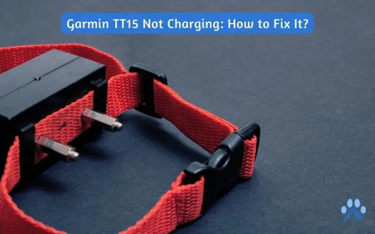 Garmin TT15 Not Charging: How to Fix It?