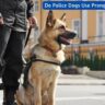 Do Police Dogs Use Prong Collars