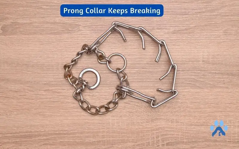 prong collar keeps breaking