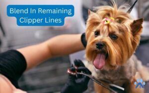 Blend In Remaining Clipper Lines