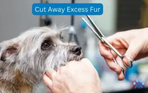 Cut Away Excess Fur