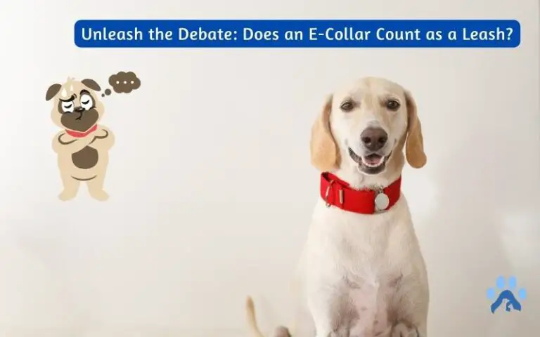 Unleash the Debate: Does an E-Collar Count as a Leash?