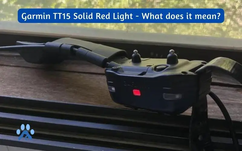 Garmin TT15 Solid Red Light