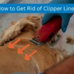 How to Get Rid of Clipper Lines