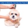 Seresto Collar & Advantix: Can You Use Them Together for Maximum Flea & Tick Protection?