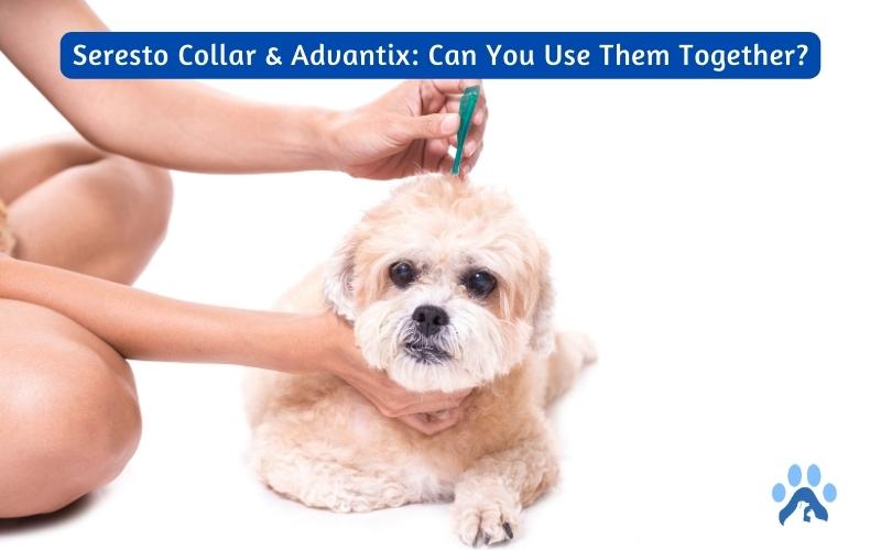 Seresto Collar & Advantix: Can You Use Them Together for Maximum Flea & Tick Protection?