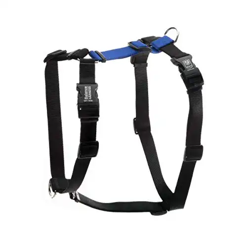 Blue-9 Buckle-Neck Balance Harness, Fully Customizable Fit No-Pull Harness, Ideal for Dog Training and Obedience, Made in The USA, Blue, Small